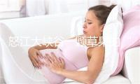怒江大峡谷一颗草果的“七十二变”